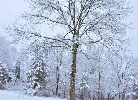 Hopewell Junction Ski Chalet | Hudson Valley Farmhouse on 4 acres, pets allow
