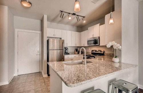 Inman Park Apartment | Inman Park Luxury Apartment 1 : Pool & Gym