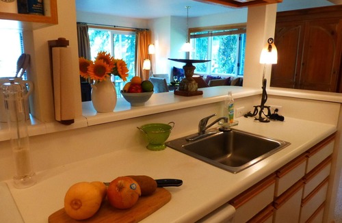 Moose Wilson Road Condo | Jackson Hole Condo, 5 Miles from Grand Teton National Park,4 miles to ski resort