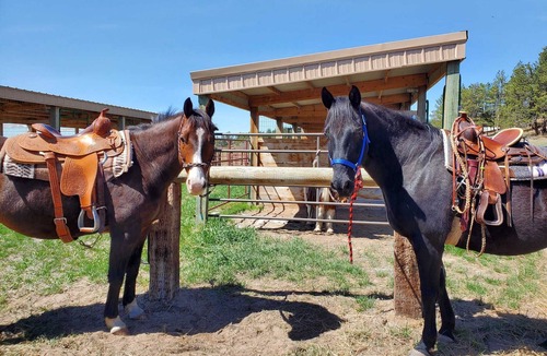 Crook County Cabin | JC Stage Stop Bunk House for relaxing in the pines!