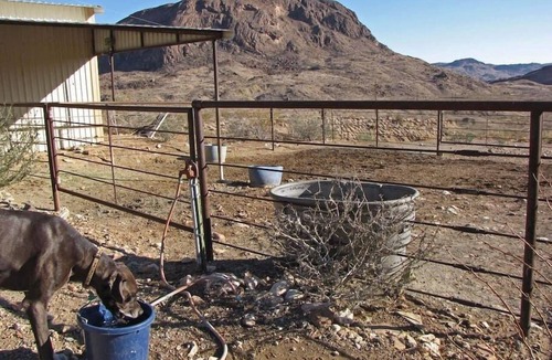 Terlingua House | Laughing Horse Retreat: 217 Acres.