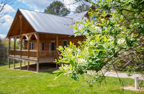 Rockbridge Cabin | Liberty Lodge by The Inn & Spa at Cedar Falls