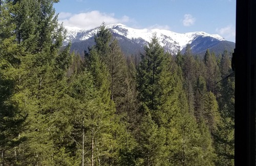 Kalispell Cabin | Life`s A Bear Retreat! COUPLES HOT TUB! n& KING SIZE BED!