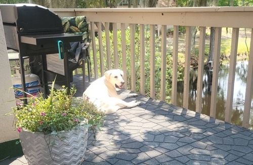 Georgetown Condo | Little slice of heaven 2-bedroom condo in superb Georgetown with deck on lake