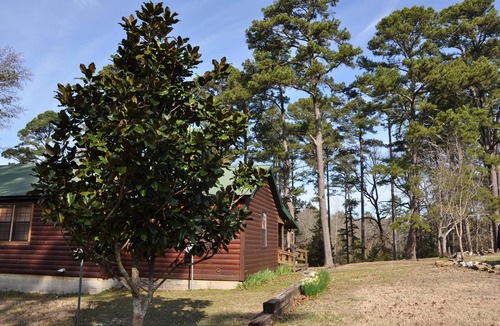 Broken Bow Cabin | Location, 5 Star Affordable, Acres, Catch/release pond - GREAT RATE MAX 6 guests