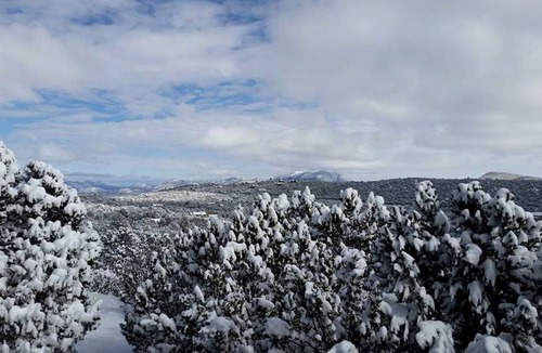 Snowline Cabin | Lodge ∙ 1 bedroom ∙ 3 guests