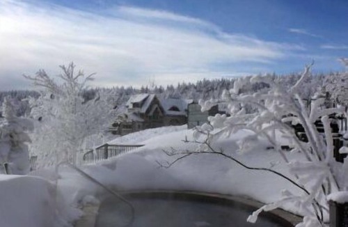 Snowshoe Condo | Luxury Snowshoe Penthouse - Best Ski-In~Out 1BR with Stunning Sunrise Mtn 🌅⛰️View