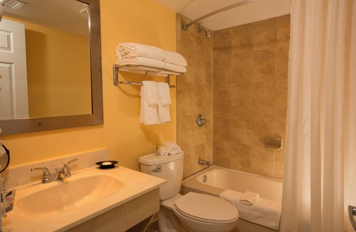 Anaheim Resort Hotel | Magical Oasis Awaits! Castle-Themed Resort with Pool & Free Disneyland Shuttle