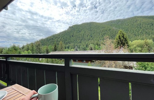 Warm Springs Apartment | Modern 2 Bedroom condo with pool and amazing view! Close to ski lifts & downtown!