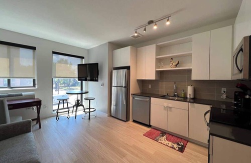 Hiawatha Apartment | Modern Sunny Micro 1BR Light Rail, Parks, MSP 305