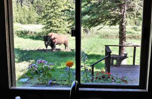 Silver Gate House | Mountain View House Right on Soda Butte Creek