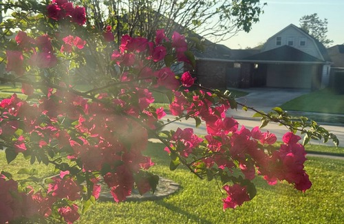 Manvel House | Near NRG FIFA HOUSTON STADIUM, Medical Center, holds 10 people , Lakes, BBQ