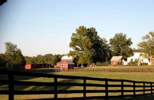 Ridge Cottage | One-Bedroom, One-Bathroom Cottage Rental on a 250-Acre Cattle Farm near Appalachian Trail