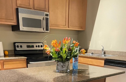 Detroit Apartment | One bedroom with a beautiful view downtown Detroit With Free Parking