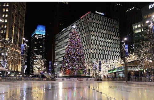 Detroit Apartment | One bedroom with a beautiful view downtown Detroit With Free Parking