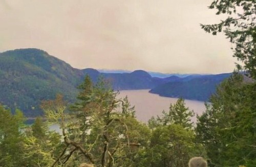 Malahat Apartment | Panoramic Suite – Breathtaking Fjord View, Summit House.