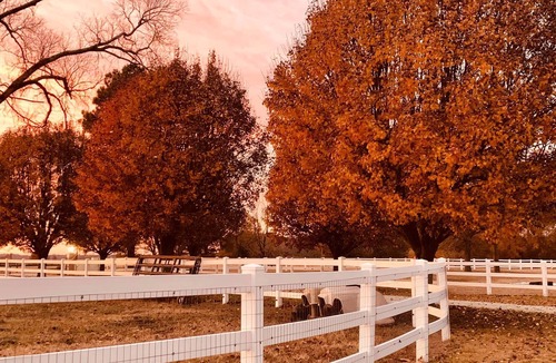Parkton House | Parkton Place, "where you are kind of a big deal!" For weddings and events.