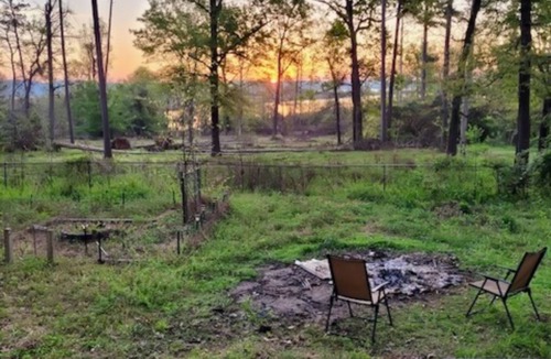 Ore City Apartment | Pet-friendly studio cabin w/shared pool, firepit, lake access