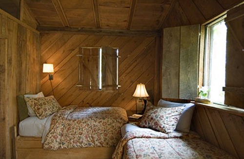 Primrose Cabin | Private, Gated, Wall of Windows, Fire-Pit, Pet Friendly- no fees of any kind!