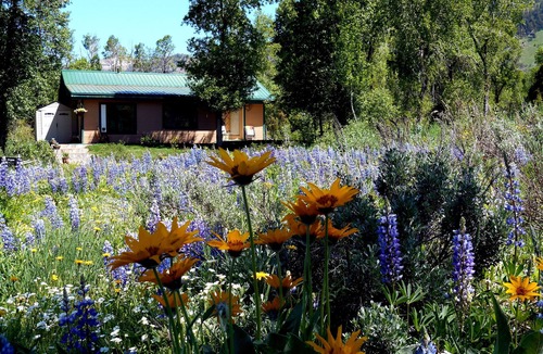 Bedford House | Private home, creek, pond, serene, quiet, breathtaking landscape