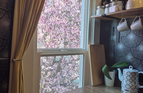 Logan House | Private Loft in 2 Story Victorian, Billiken Inn