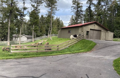 Kalispell Resort | Private room ∙ 1 guest