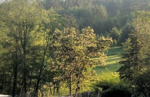 Washington County Resort | Private room ∙ 3 guests