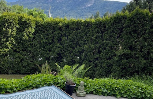 Sandy Hook Apartment | Private Studio on Sechelt Inlet, BC with kitchenette, good for solo/couples.