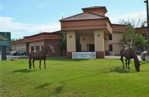 Casper Hotel | Quality Inn & Suites Casper Near Event Center