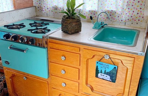 Woods Bay House | Real Vintage Camper Flathead Lake Beach Pets yes!