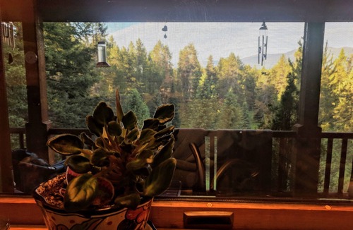 Coram House | Redneck Kabin. Enjoy the deck and hot tub after day in the Park