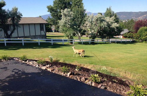 Miller Creek Apartment | Relax Above The City In Spacious Accommodations With Gorgeous Views-Pets Welcome