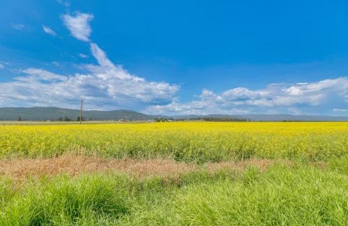 Kalispell House | Remodeled Kalispell Farmhouse with Mountain Views