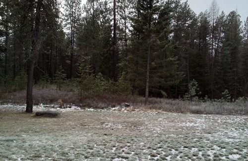 Kootenai County House | Riffle Road Ranch 10 acres of peacefulness
