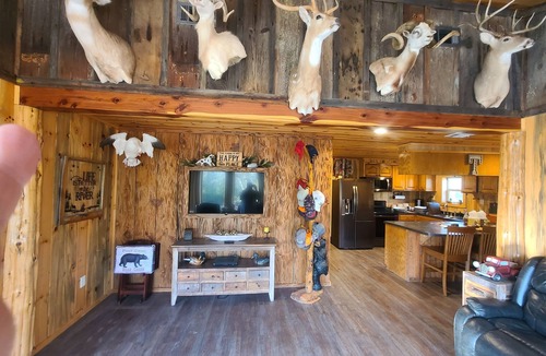 Alleene Cabin | Riverside Retreat Cabin on the banks of Little River.