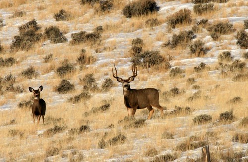 Custer County House | Rocky Mountain RV Camp