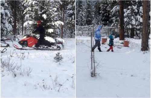 Superior House | Romantic Log Cabin Rental with Forest Views near Missoula, Montana