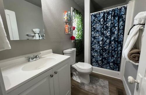 North Park House | Roomy single bedroom with a huge back yard