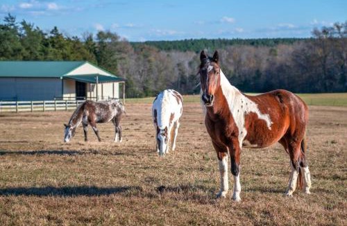 Macon House | Rusmar Farm Equine Country Living n Powhatan VA