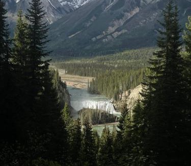 Golden Other | Rustic Beaverfoot Lodge