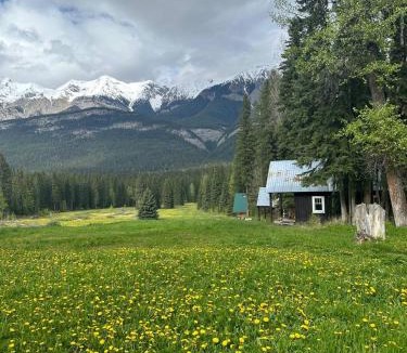 Golden Other | Rustic Beaverfoot Lodge