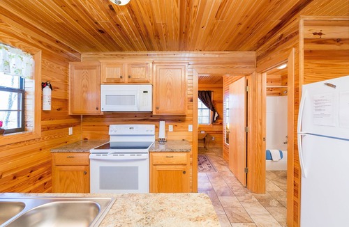 Mountainburg Cabin | Rustic Boars Nest Cabin with a Hot Tub