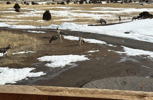 Livingston House | Rustic Luxury Barn Retreat in Pray, Montana – Family & Pet Friendly
