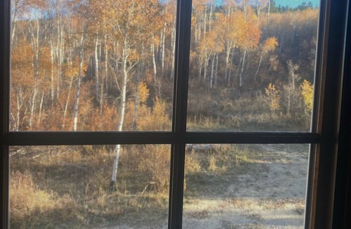 Wayan Cabin | Secluded Luxury Cabin near Star Valley, Wyoming