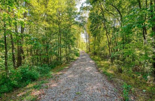 Nelsonville House | Seven Pines Cabin - Secluded in Hocking Hills