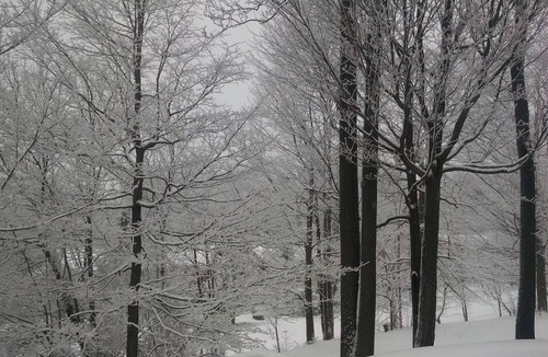Seven Springs House | Seven Springs Townhouse with WiFi/NetFlix