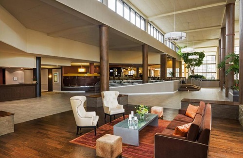 Paw Creek Hotel | Sheraton Charlotte Airport