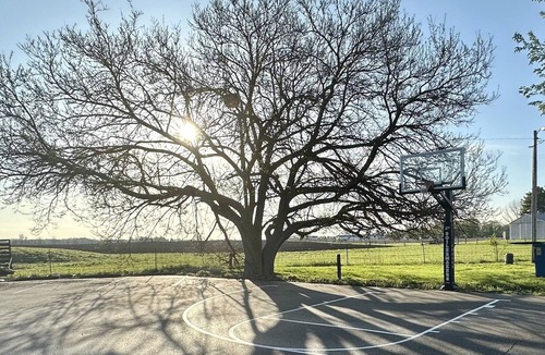 Sheridan House | Sidelines @ Grand Park Game Room Basketball Court Sleeps 13+