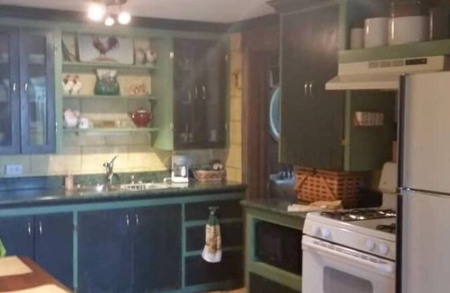 Coeur d'Alene Apartment | SILVERWOOD, BAYVIEW, LAKE PEND ORIELLE, FARRUGUT PARK HIDEAWAY pet-friendly!
