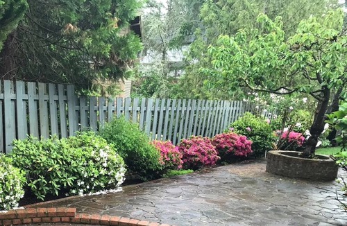 Beaverton House | Spacious, 4BR Single-Level near Parks